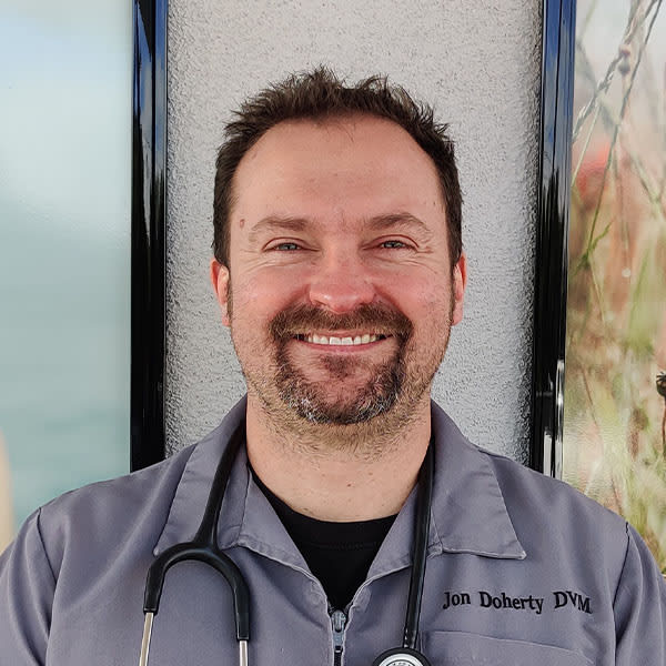Dr. Jonathan Doherty, Oceanside Veterinarian