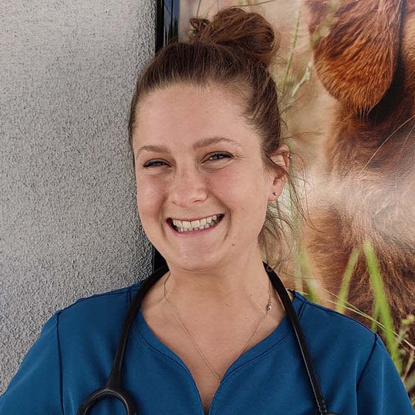 Dr. Allison Doherty, Oceanside Veterinarian